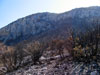 Earlier this summer, the Mt. Charleston area had some large wildfires.  This is the remnants of one.